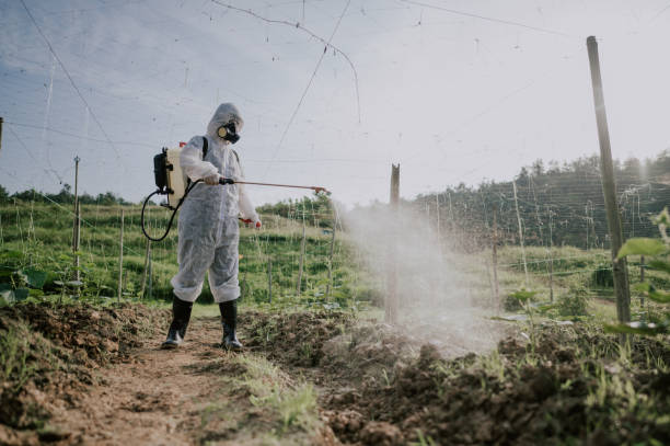 Best Local Pest Control Services  in Mansfield, PA