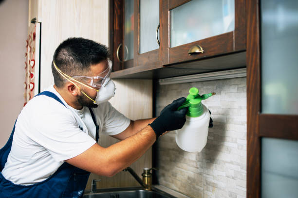 Reliable Mansfield, PA Pest Control Solutions