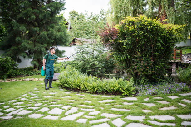 Best Mosquito Control Services  in Mansfield, PA