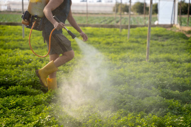 Best Best Pest Control Companies  in Mansfield, PA