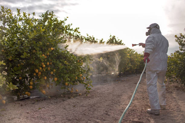 Best Affordable Pest Control Services  in Mansfield, PA