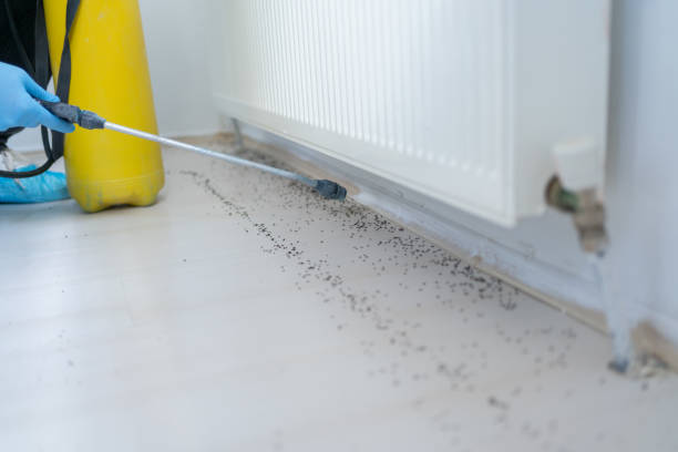 Best Exterminator Services  in Mansfield, PA