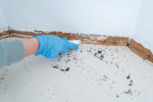 Best Bed Bug Extermination  in Mansfield, PA