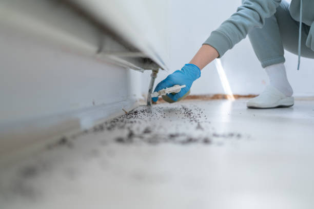 Best Rat Extermination Near Me  in Mansfield, PA
